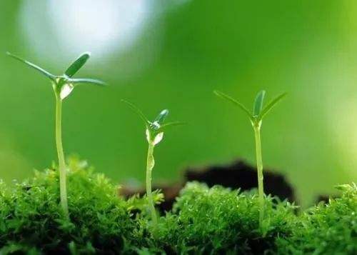 20200318756033.jpg timg (1).jpg